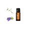 Clean Lavender Pure Essential Oil with Eucalyptus Globulus Spike Lavender Niaouli  10ml