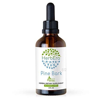Pine Bark B120 AlcoholFree Herbal Extract Tincture Concentrated Liquid Drops Natural Pine Bark Proanthocyanidin Dried Bark 4 fl oz