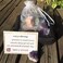 Healing crystals set Very Suitable for Yoga Physiotherapy Meditation Reiki Zen Reiki Cleaning