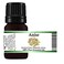Anise Aniseed Essential Oil Pimpinella Anisum 100 Pure and Natural 1OZ 30 ML