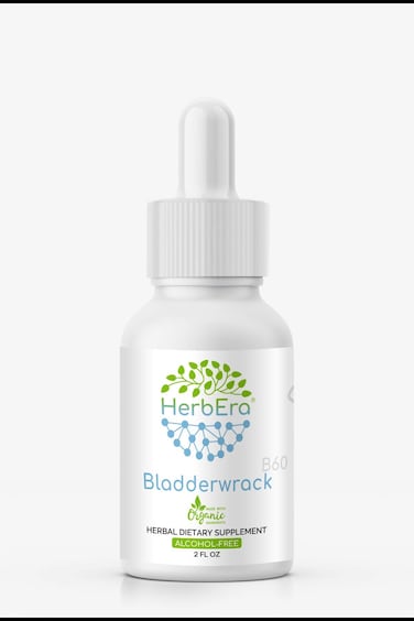 Bladderwrack B60 AlcoholFree Herbal Extract Tincture Concentrated Liquid Drops Natural Bladderwrack Fucus Vesiculosus Dried Plant 2 fl oz