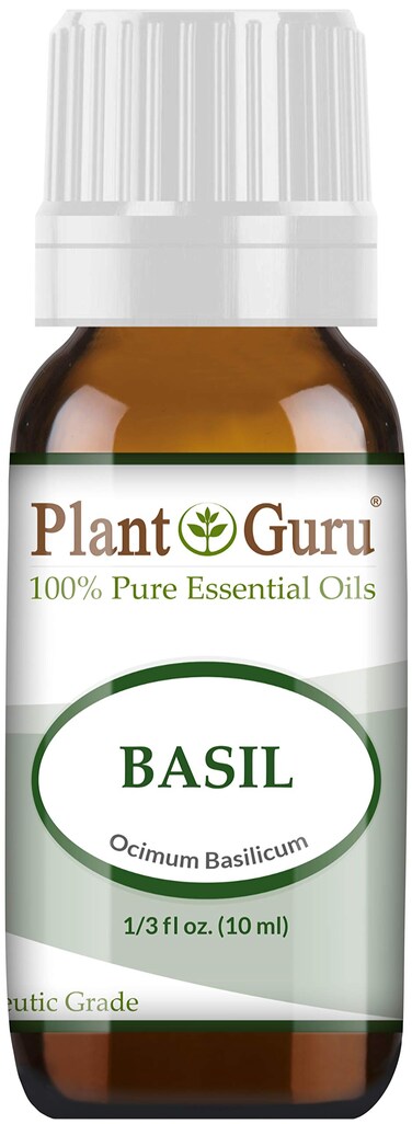 Basil Essential Oil 10 ml 100 Pure Undiluted Therapeutic Grade