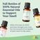 Smell Training Kit  Essentials  Olfactory Training Kit with 10ml Real Essential Oils  Smell Therapy for Smell Loss
