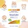 Boiron Sinuscalm Tablets for Sinus Pain Relief Runny Nose Congestion Sinus Pressure Headache  120 Count Pack of 1
