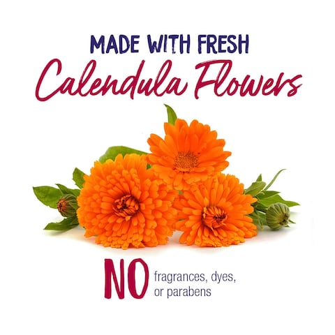 Boiron Calendula Burn Ointment for Relief from Minor Burns from Cooking Friction or Sunburns  2 oz 2 Pack of 1 oz