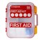 EverOne 354 Piece Hard Case First Aid Kit Exceeds OSHA and ANSI Guidelines for 100 People Fully Organized with Wall Mount for Business Worksite School Vehicle andor Home