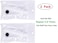 2PK Mosquito Bee Sting Bug Bite Kit Suction Tool Safety First Aid Supplies Tool Natural Sting First Aid for Hiking Backpacking Camping