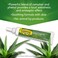 Campho Phenique Maximum Strength Antiseptic Gel Pain Relief and AntiItch Treatment Instant Relief From Bug Bites Minor Cuts and Skin Irritations 05 Oz