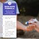 After BiteKids  Bug Bite Itch Relief for Kids with Sodium Bicarbonate  Ideal for Mosquito Bites Fire Ant Bites Bees  More  Portable Cream Formula  07 oz 4 Pack
