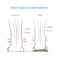 FootScientific Arches Type 3 High Arch Orthotic Shoe Insoles Mens Size 775  Womens Size 995