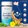 Best Nest WellnessMens Fertility Supplement Mens Prenatal Vitamins Conception for Him Prenatal Multivitamins Pre Pregnancy Male Fertility Supplements  Methylfolate Magnesium Zinc  More 30 Ct