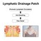 LAVELA 20 pcs Lymphatic Drainage Patch Herbal Lymph Care Patch Neck Lymph Node Patch AntiSwelling Ginger Oil Lymphatic Drainage Massage