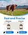 eBGKVET Glucose Ketone 2in1 Monitoring Kit Dairy Cows Glucose Ketone 50 Blood Glucose Test Strips 10 Ketone Test Strips Carrying Case for Animal Care