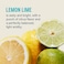 Liquid IVHydration Multiplier SugarFree  Lemon Lime  Hydration Powder Packets  Electrolyte Powder Drink Mix  Convenient SingleServing Sticks  NonGMO  14 Servings Pack of 1