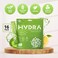 Hydra PowderNutrients Electrolyte Powder Packets with NAD Daily Hydration Packets Low Sodium Electrolytes Powder Electrolyte Drink Mix Low Sugar  16 Electrolyte Packets Lemon Lime