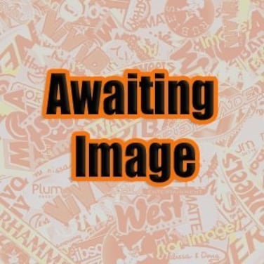 BADGER Plunger  O Ring Model 250  35050070
