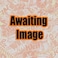 BADGER Plunger  O Ring Model 250  35050070