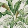 Tommy BahamaPremium Peel and Stick Wallpaper Designer Tropical Wallpaper for Bedroom Dorm Room Essentials Self Adhesive Vinyl 3075 Sq Ft Coverage Palmiers Collection Aloe