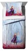 Jay Franco Disney Frozen 2 Forest Spirit TwinFull Comforter  Sham Set Mutli