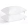 NTBAY Super Soft Flat Pillows for Sleeping Down Alternative Thin Pillows Standard Size Set of 2 Machine Washable Slim Pillows for Stomach Back or Side Sleepers Soft Hotel Collection Pillows White