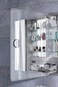 Robern AC2430D4P1L 4000K Temperature LUM LightingLeft Hinge AiO 24 x 30 Single Door Cabinet 24x30