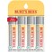 Burts BeesLip Balm Stocking Stuffers Moisturizing Lip Care Christmas Gifts for All Day Hydration Ultra Conditioning with Shea Cocoa  Kokum Butter 100 Natural 4Pack