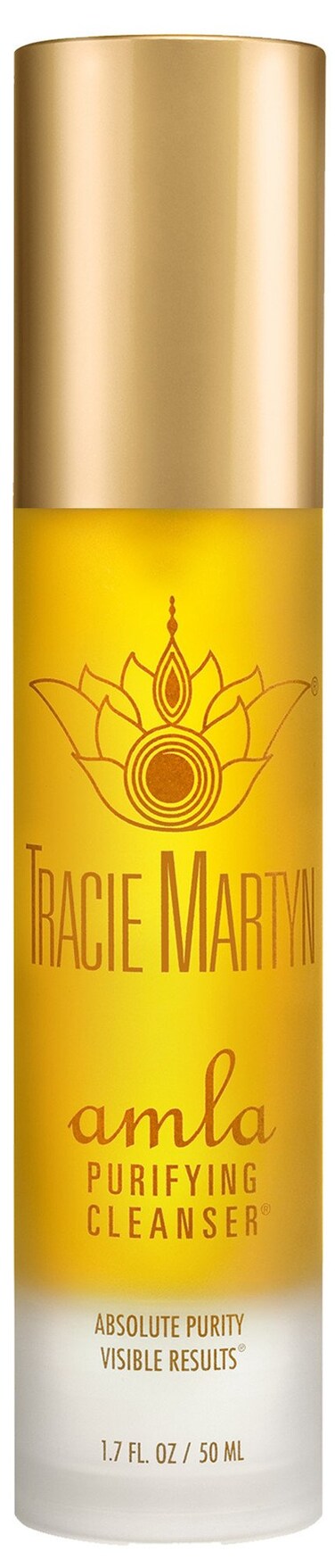 Tracie Martyn Amla Purifying Cleanser 17 Fl Oz