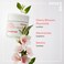 innisfree Cherry Blossom Glow Jelly Cream with Niacinamide for Smooth Glowing Skin Korean Skincare Hydrating Moisturizer