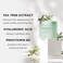 The Face Shop Tea Tree Toner Pads  Improve Uneven Skin Tone Pore Minimizer  Exfoliating Dual Sided Toner Pad  AHA BHA PHA Hyaluronic Acid  Cotton Facial Pad  Korean Toner  Korean Skin Care
