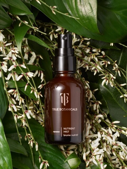 True BotanicalsNatural Renew Nutrient Face Mist  NonToxic CrueltyFree  Helps Hydrate Nourish  Helps Defend Skin from Pollution  Made Safe