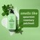 HempzBody Moisturizer Rosemary  Mint 17 Oz  Hydrating Lotion Rich with Minerals Vitamin C  Hempseed Oil to Nourish  Repair Extremely Dry or Sensitive Skin for Women  Men