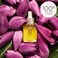 Clarins Lotus Face Oil Treatment  Hydrates Tones and Balances Skin  Visibly Tightens Pores  Minimizes Fine Lines Skin Is Immediately Velvety100 Natural Plant Extracts Oily To Combination Skin