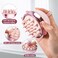 2in1 Scalp Massager Shampoo Brush Scalp Scrubber for Hair Growth  Dandruff Removal Hair Scrubber with Soft Silicone Bristles Wet Dry Scalp Exfoliator for Scalp Care Pink