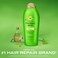 OGXClarifying Strength  Rosemary Mint Conditioner Clarifying Conditioner Visibly Helps Remove Oil  Residue to Clear Away Buildup from Oily Hair SulfateFree Surfactants 254 fl Oz