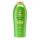 OGXClarifying Strength  Rosemary Mint Conditioner Clarifying Conditioner Visibly Helps Remove Oil  Residue to Clear Away Buildup from Oily Hair SulfateFree Surfactants 254 fl Oz