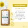 KloraneBrightening Shampoo with Chamomile  Enhances Highlights  Brightens Blonde Hair  Hydrogen Peroxide Ammonia Silicone Paraben