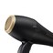 BIO IONICGoldpro Dryer