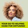 DevaCurl DevaDryer 1 ct