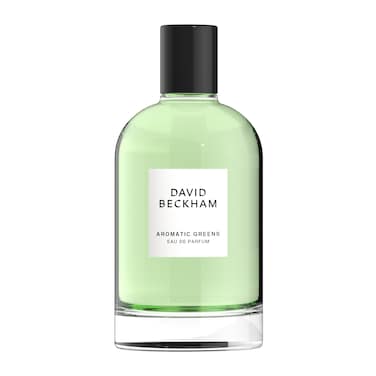 David Beckham Aromatic Greens Eau de Parfum 33 fl oz