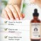 PURA DOROrganic Nail  Cuticle Oil 4oz  Enriched with Biotin Vitamin E Natural Ingredients  Nourishing Treatment for Nail Growth  Healthy Beds