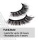 EylureDramatic Definition No 126 Eyelashes Multipack 4 Pairs