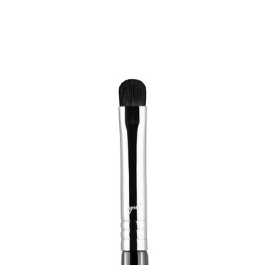 Sigma E21  Smudge  Brush