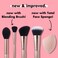 elf Cosmetics Complexion Essentials Brush  Sponge Set Concealer Powder Blush  Highlighter Brushes  Total Face Sponge For A Perfect Complexion