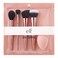 elf Cosmetics Complexion Essentials Brush  Sponge Set Concealer Powder Blush  Highlighter Brushes  Total Face Sponge For A Perfect Complexion