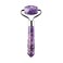 Skin Gym Mini Amethyst Facial Roller Massager for Wrinkles and Fine Lines AntiAging Face Lift Skin Care Beauty Tool