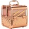 Ver Beauty Art Craft Tattoo Makeup Acrylic Mini Train Aluminum Case Organizer Box Two Cantilevered Shelves with Lid Mirror Key Locks Easy Clean  VK005 Rose Gold Diamond