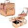 Ver Beauty Art Craft Tattoo Makeup Acrylic Mini Train Aluminum Case Organizer Box Two Cantilevered Shelves with Lid Mirror Key Locks Easy Clean  VK005 Rose Gold Diamond