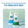 SmartMouthDDS Activated Clinical Mouthwash  Original Activated Mouthwash  Adult Mouthwash for Fresh Breath  Clean Mint Flavor Clinical  Fresh Mint Flavor Original 16 fl oz Each