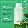 innisfreeGreen Tea Enzyme PHA Toner with Hyaluronic Acid and Green Tea Hydrating Korean Toner for Glowing Skin