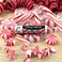 ChapStick Candy Cane Peppermint Lip Balm Tube Candy Cane Lip Balm and Lip Moisturizer for Lip Care  015 Oz